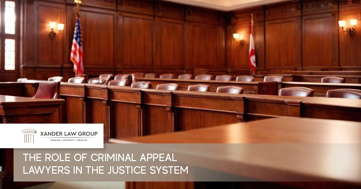 criminal appeal lawyers