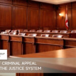 criminal appeal lawyers